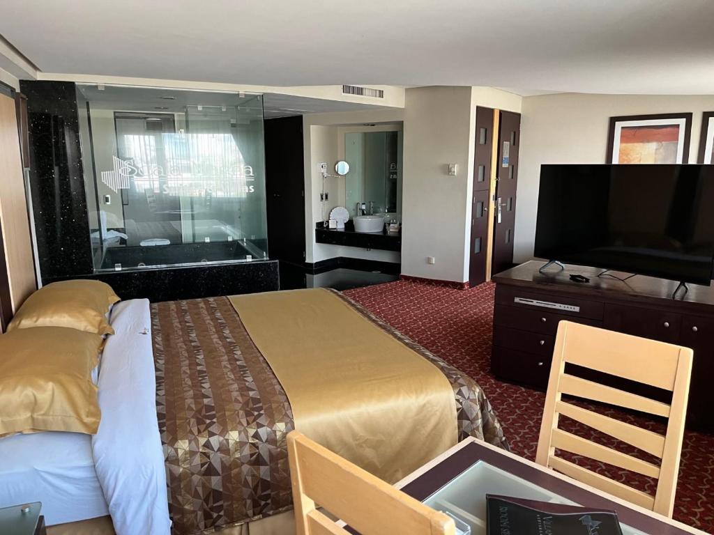 墨西哥城斯卡拉麦格纳酒店 的配有一张床和一台平面电视的酒店客房