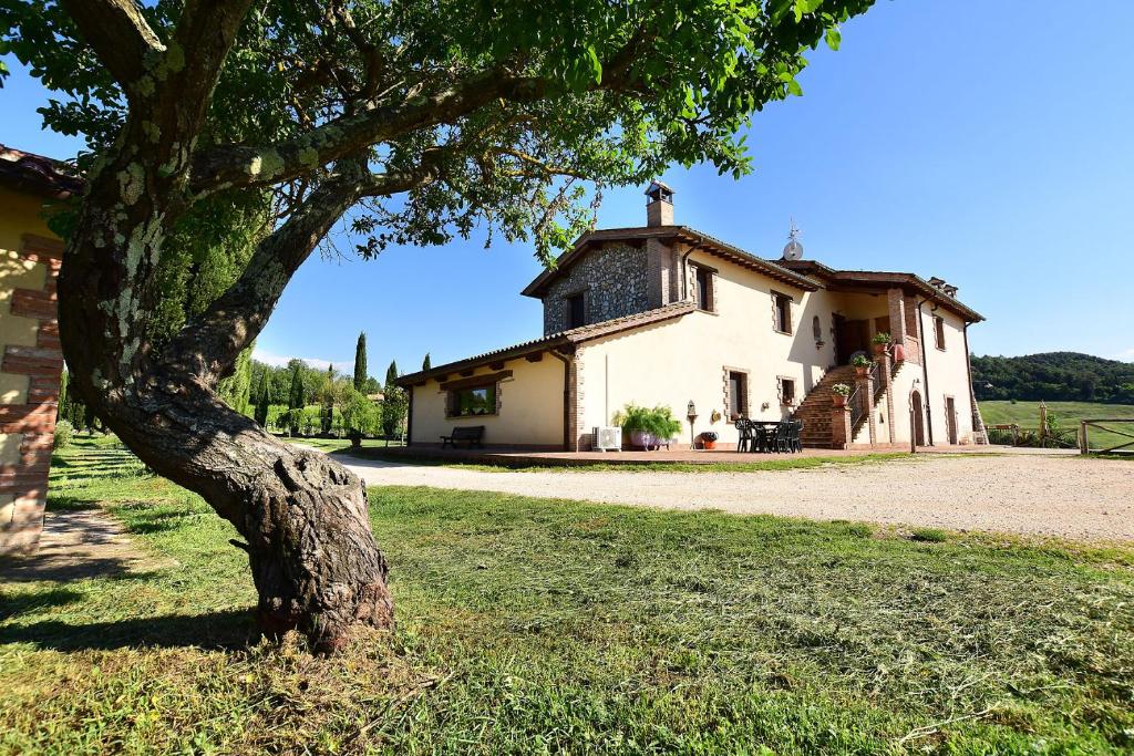 纳尔尼Il Collicello的前面有一棵树的老房子