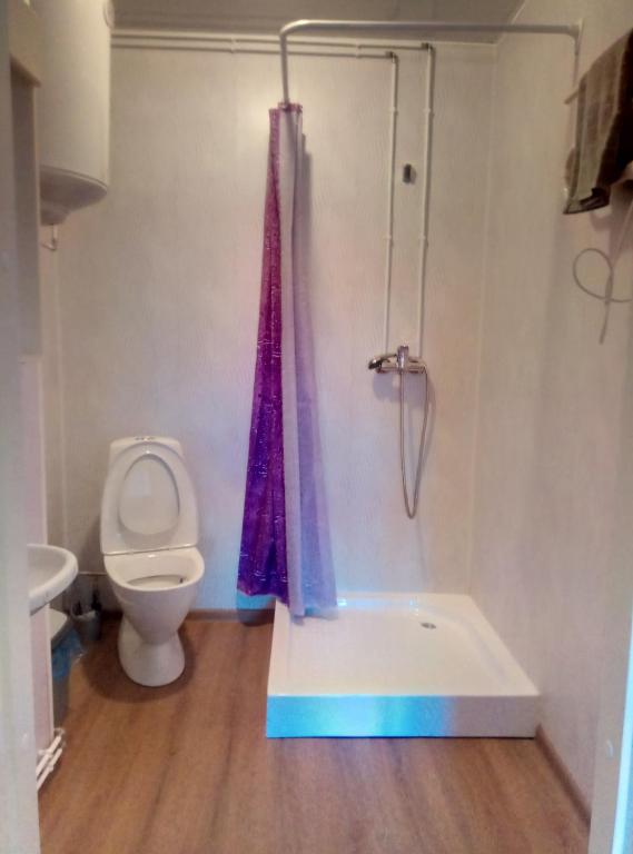 维尔扬迪TäheMaja4的浴室设有卫生间和带紫色淋浴帘的淋浴。