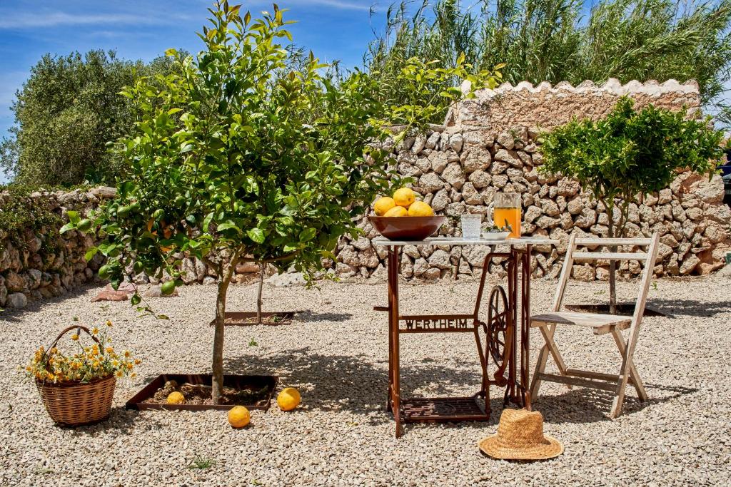 阿莱奥尔图玛登卡比塔农场酒店的树旁有一碗水果的桌子