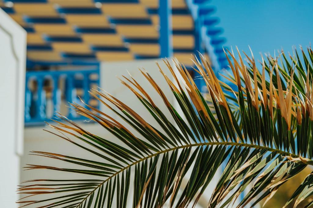 阿斯提帕莱亚镇维奥斯海滨公寓的一座建筑前的棕榈树