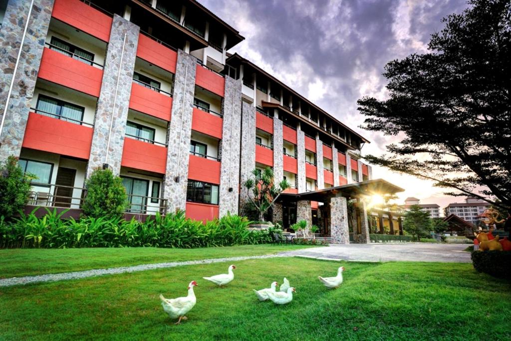 坤敬魅力精品度假酒店的一群鸭子在建筑物前走