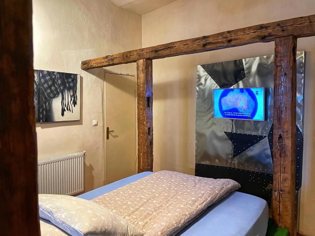 克卢日-纳波卡The House a la Cluj的一间卧室设有一张天蓬床和电视。
