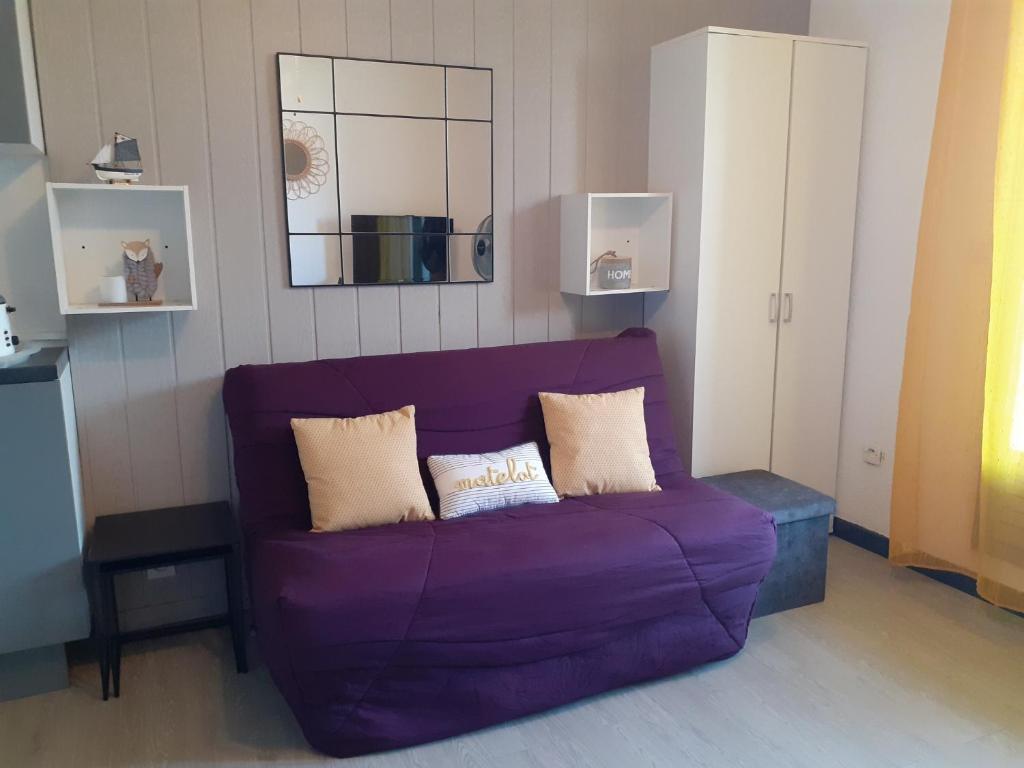 鲁西隆地区卡内Appartement Canet Sud Jardin et parking的客厅配有带镜子的紫色沙发