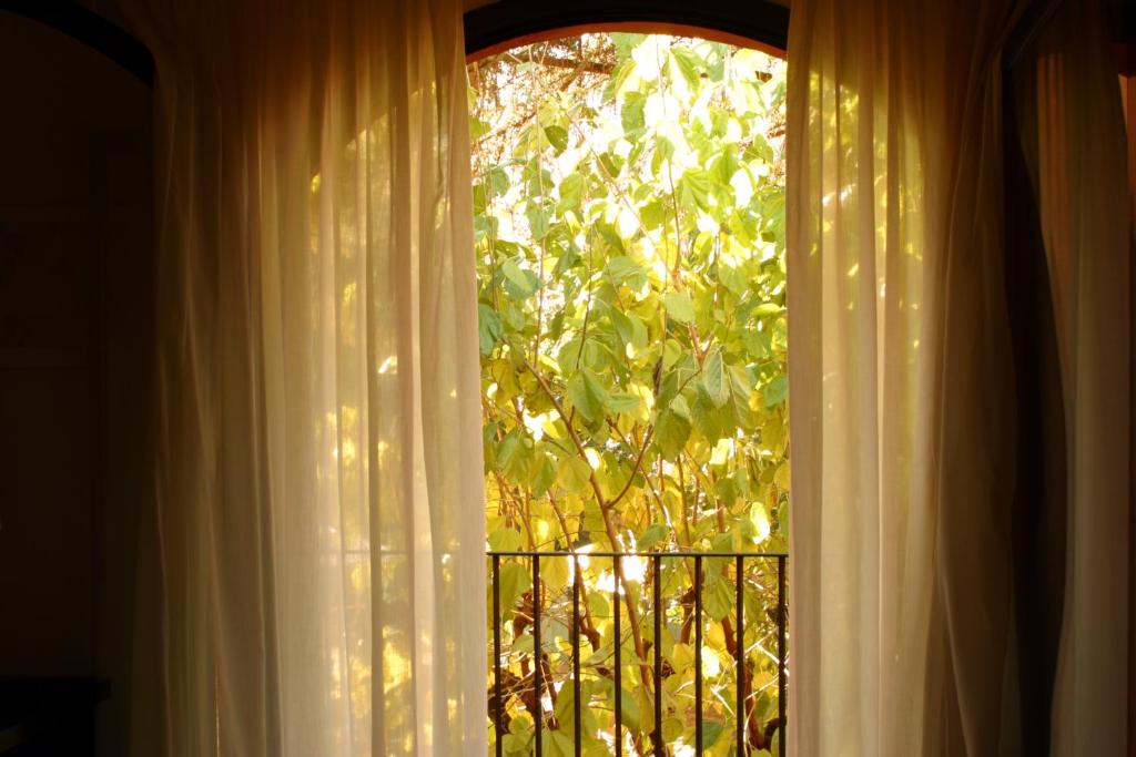 阿尔武希耶斯托雷斯酒店的享有树景的窗户