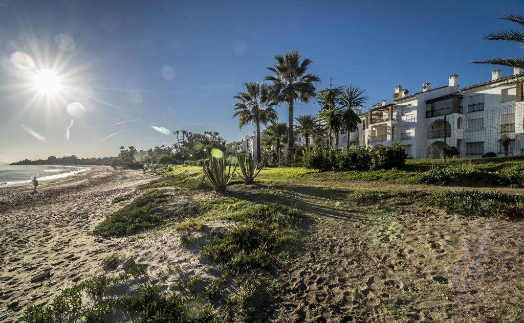 EsteponaHB Comfortable Beachfront Holiday Apartment的棕榈树海滩和建筑