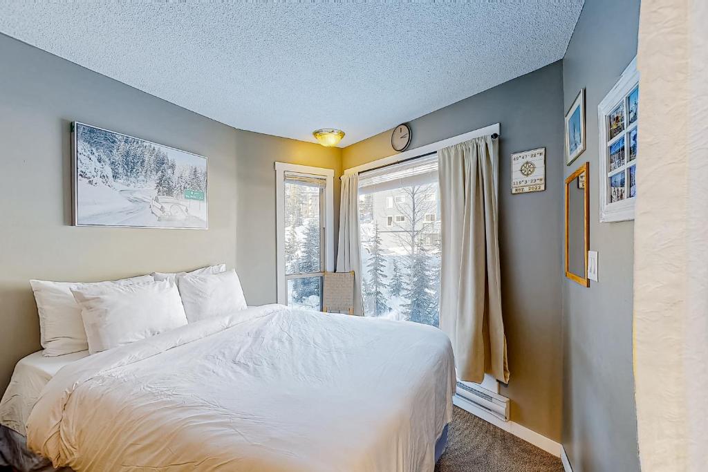 大白山The Lepard's Den - Whitefoot Lodge 206的一间卧室设有一张大床和一个窗户。