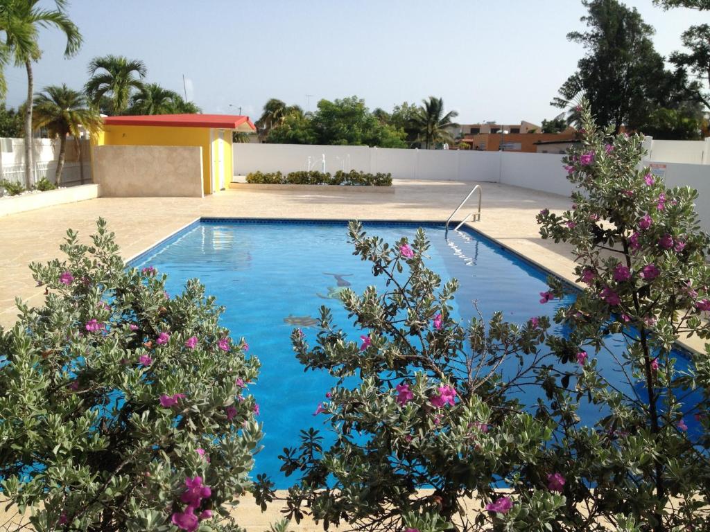 阿雷西博阿雷西博旅馆的鲜花庭院中的游泳池