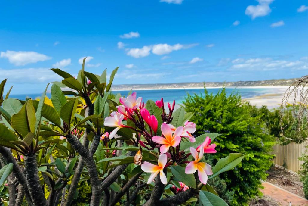 Emu BayThe Whitehouse的享有粉红色和橙色鲜花海滩的景色