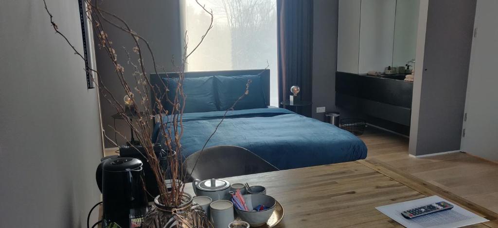 博克斯特尔Bed & Wellness Boxtel, luxe kamer met airco en eigen badkamer的一间卧室设有蓝色的床和窗户。