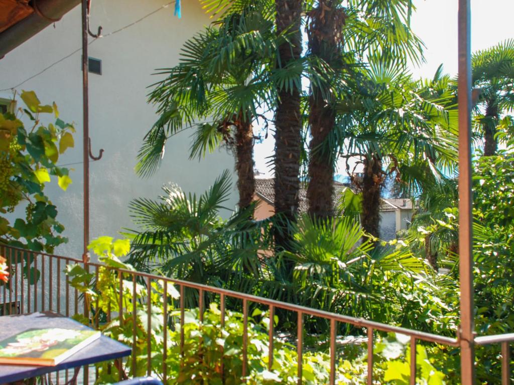 戈尔多拉Holiday Home La Verzaschina by Interhome的一个带棕榈树和围栏的阳台
