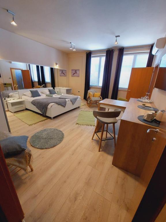 罗维尼Room and Apartments Antea的大型客厅配有床和书桌