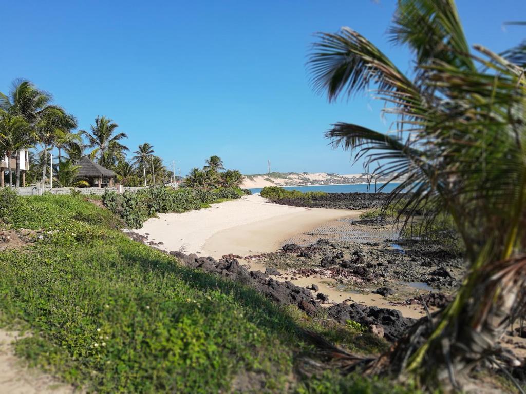 尼西亚弗洛雷斯塔COMPLEJO PONTA das BRILLES DUPLEX的棕榈树海滩和海洋