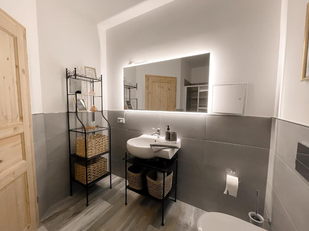 德累斯顿New Deluxe Studio Apartment in quiet back house的一间带水槽和镜子的浴室