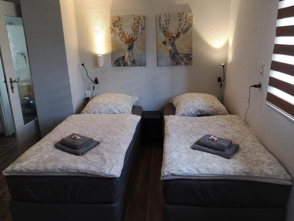 GroßhartmannsdorfSaidenbachHaus的客房内的两张床和毛巾