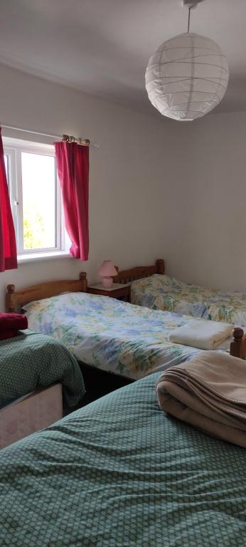 马汉莱斯Toad Hall Hostel的一间卧室设有两张床和窗户。