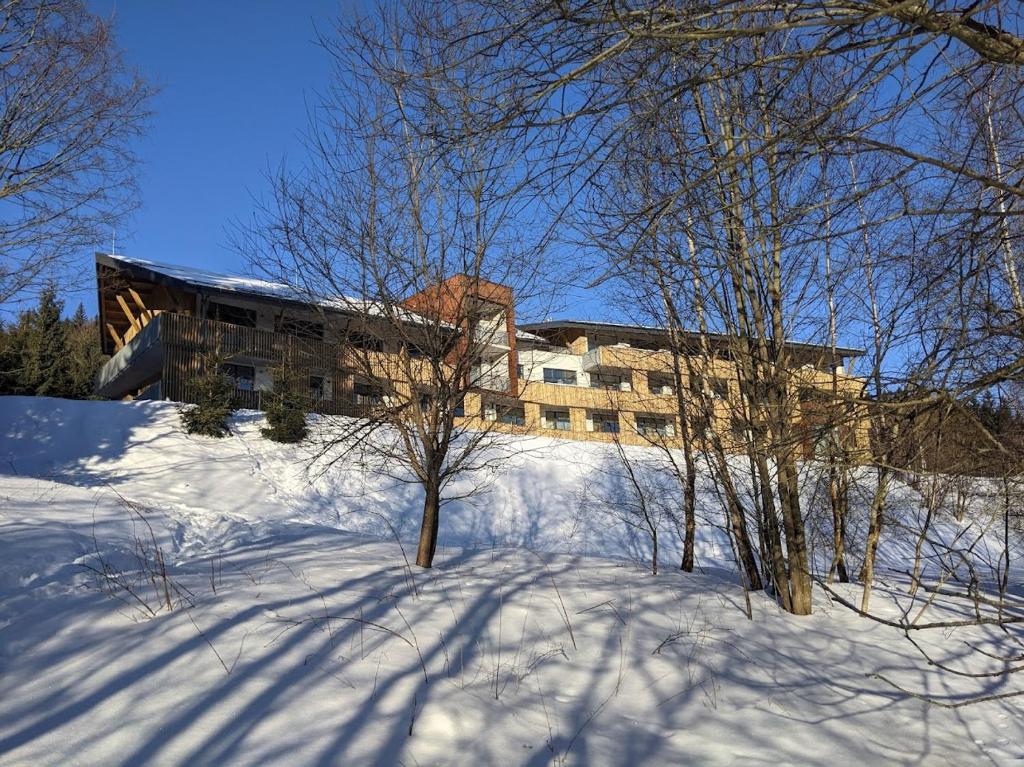 StachyZadov - Apartmán Srdce Šumavy的一座有树木的雪覆盖的山顶上的建筑