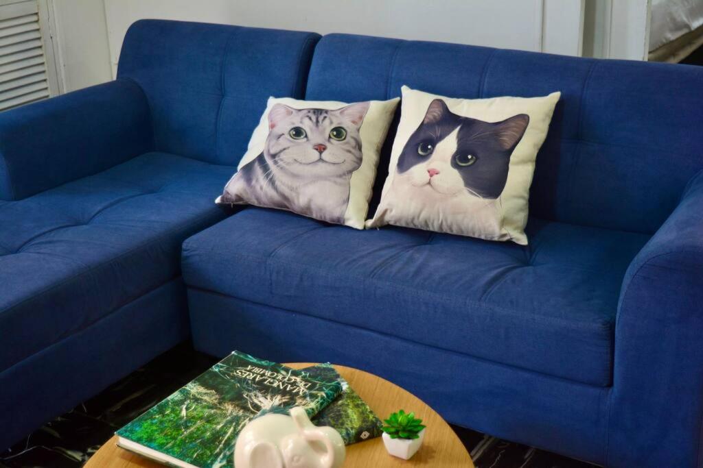 卡塔赫纳Casa del Gato的蓝色沙发上两个猫枕头