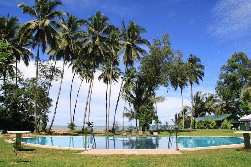 京那律兰卡莎巴斯海滩度假村的棕榈树环绕的度假村游泳池