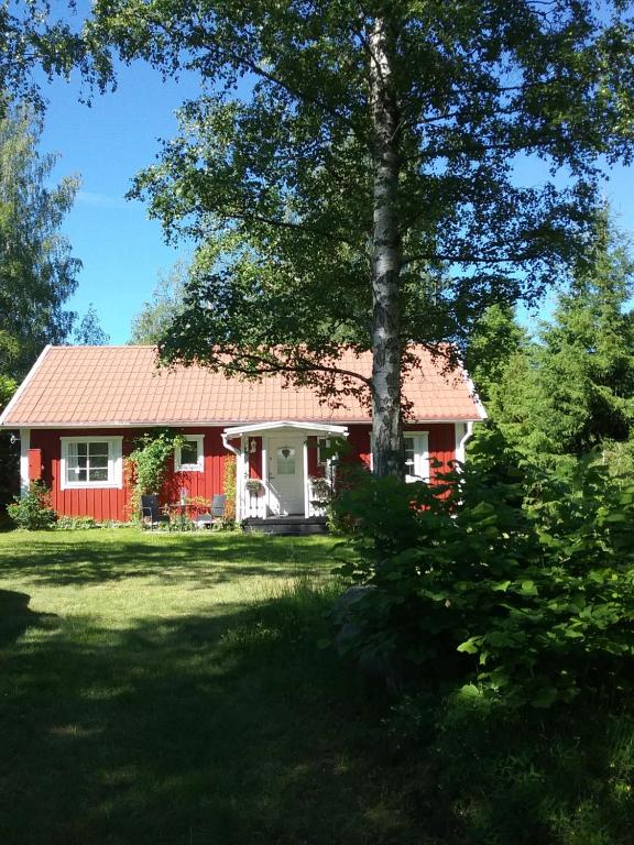 维默比Björkslingan的院子里有树的红色房子