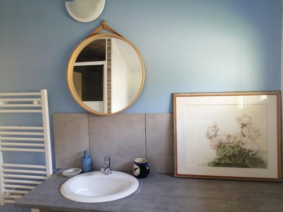 Saint-Julien-sur-CalonneObungalow de July Belle vue的一间带水槽和镜子的浴室