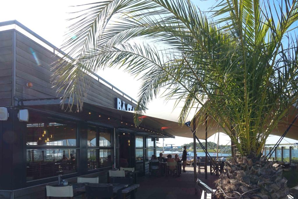 斯泰伦丹Dock Hotel Stellendam的餐厅前的棕榈树