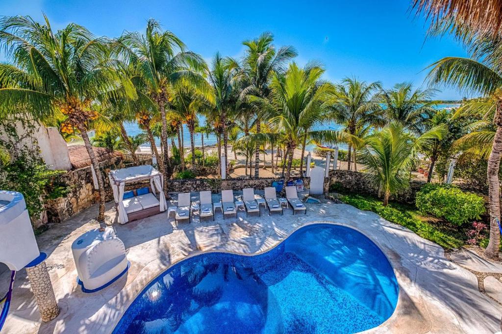 艾库玛尔Private Pool With Stunning Views Of The Ocean The Ultimate Spot To Relax And Unwind的一个带椅子和棕榈树的游泳池以及大海