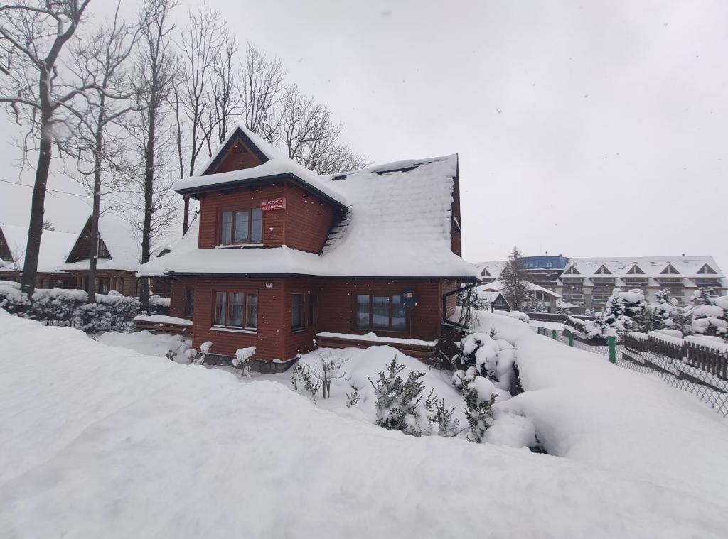 扎科帕内Willa Pod Jesionami的雪覆盖的房子