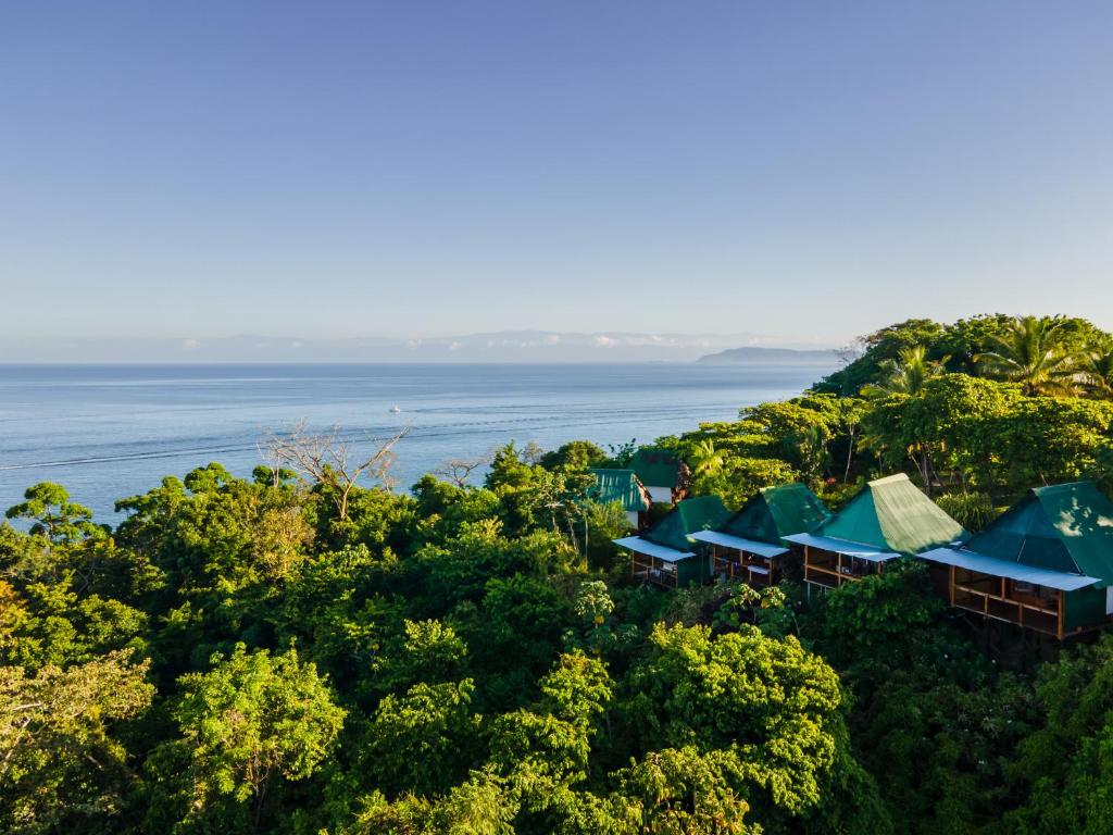 德雷克Punta Marenco Lodge的享有度假胜地的空中景致,以海洋为背景