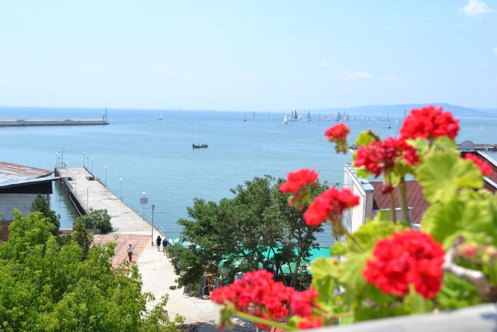 巴尔奇克玉兰家庭酒店的阳台享有海景,种有红花