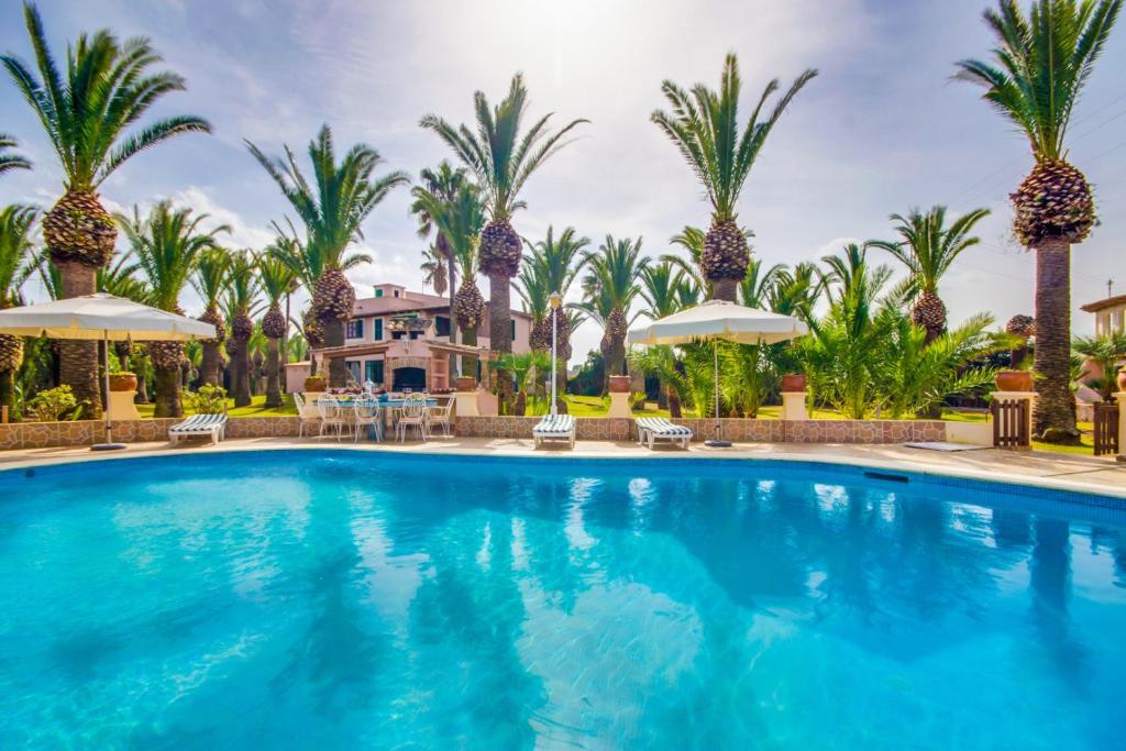 阿尔库迪亚Can Comaro的一座棕榈树游泳池和一座房子