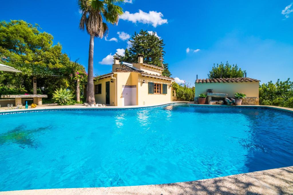阿尔库迪亚Ideal Property Mallorca - Patufa的棕榈树屋前的游泳池