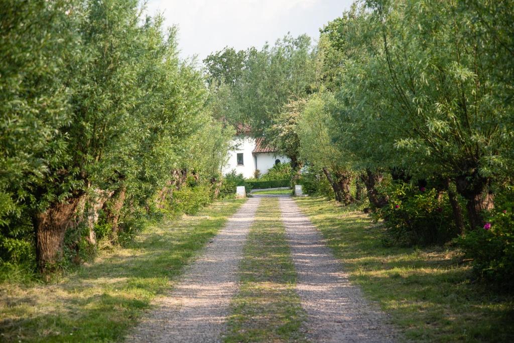 德哈恩Heart at Sea - De Haan的一条长满树木的土路和远处的白色房子