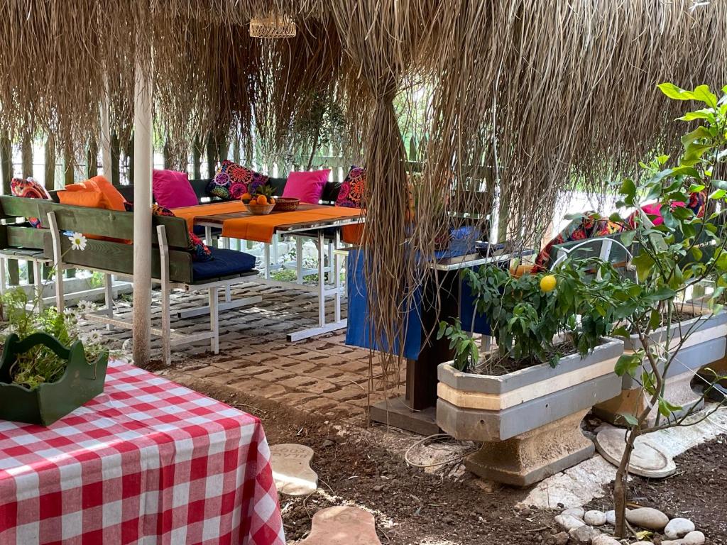马尔马里斯MaviMaris Doğa Evleri的户外庭院设有桌椅和植物