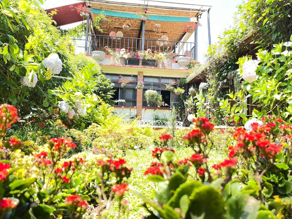 科万Hotel Casa Chapultepec的一座花园,在一座建筑前种有红色花卉