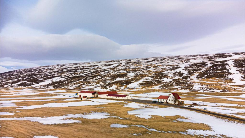 GodafossFljótsbakki Hotel的一座有房子的雪覆盖的山丘上的农场