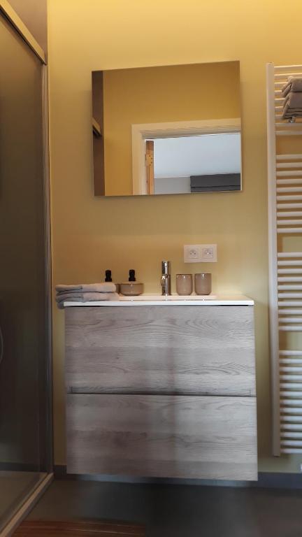 布鲁日B&B Valant的一间带水槽和镜子的浴室