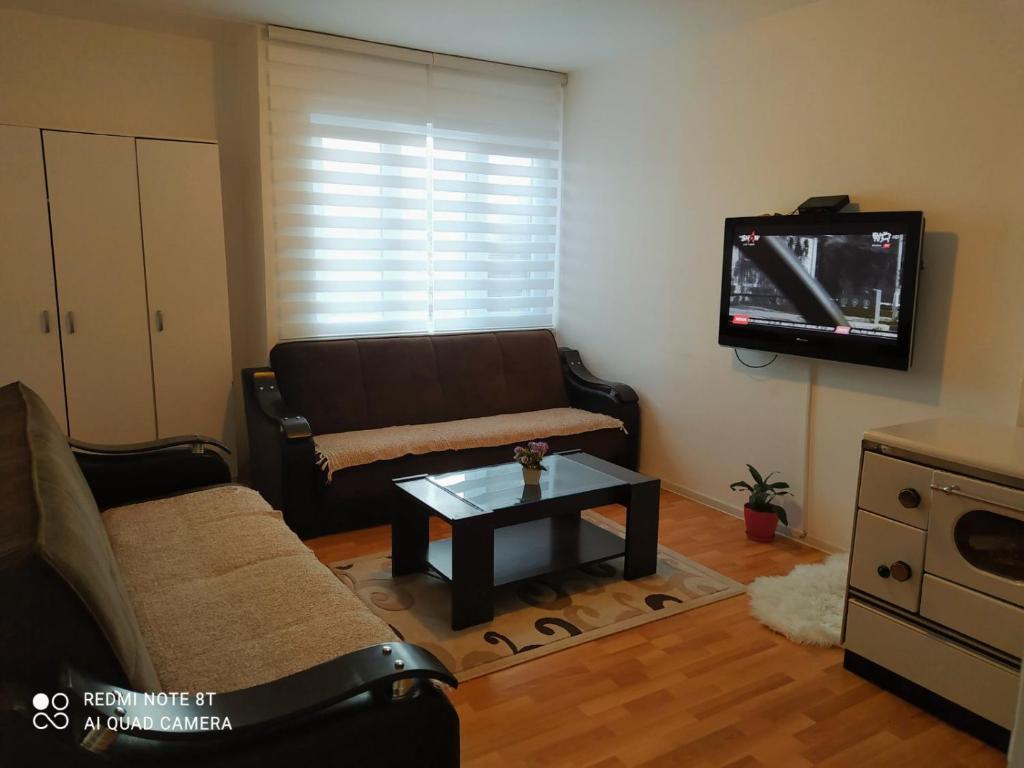 贝拉内apartman berane的带沙发和电视的客厅