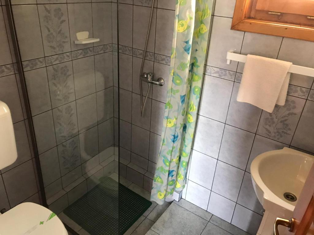 普拉伊德Manó Kulcsosházak的带淋浴、卫生间和盥洗盆的浴室