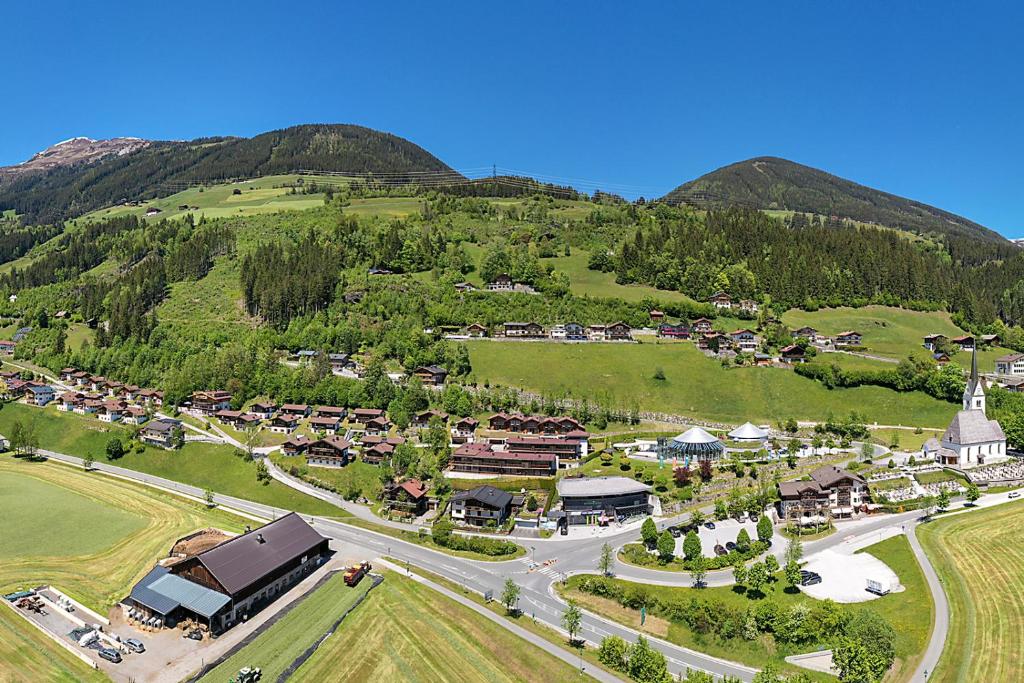 平茨高谷地瓦尔德Ferienpark Schöneben的享有山脉村庄的空中景致