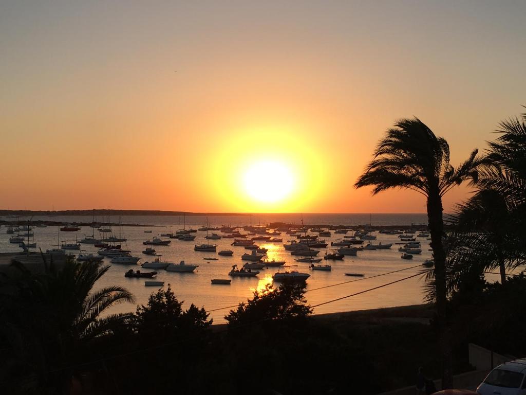 拉萨维纳Ponent Formentera的日落时分在港口的一群船