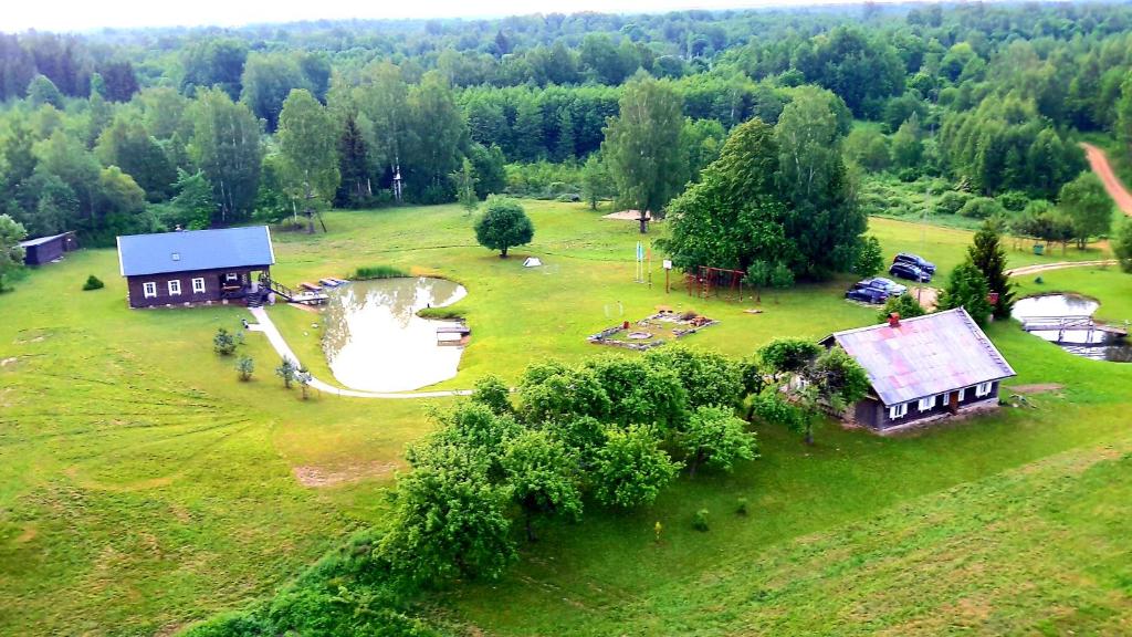 莫雷泰Alkūnų sodyba的田野中房屋和池塘的空中景观
