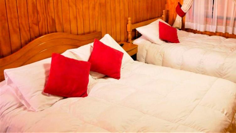 卡斯特鲁Hostal Maria的客房内的两张床和红色枕头