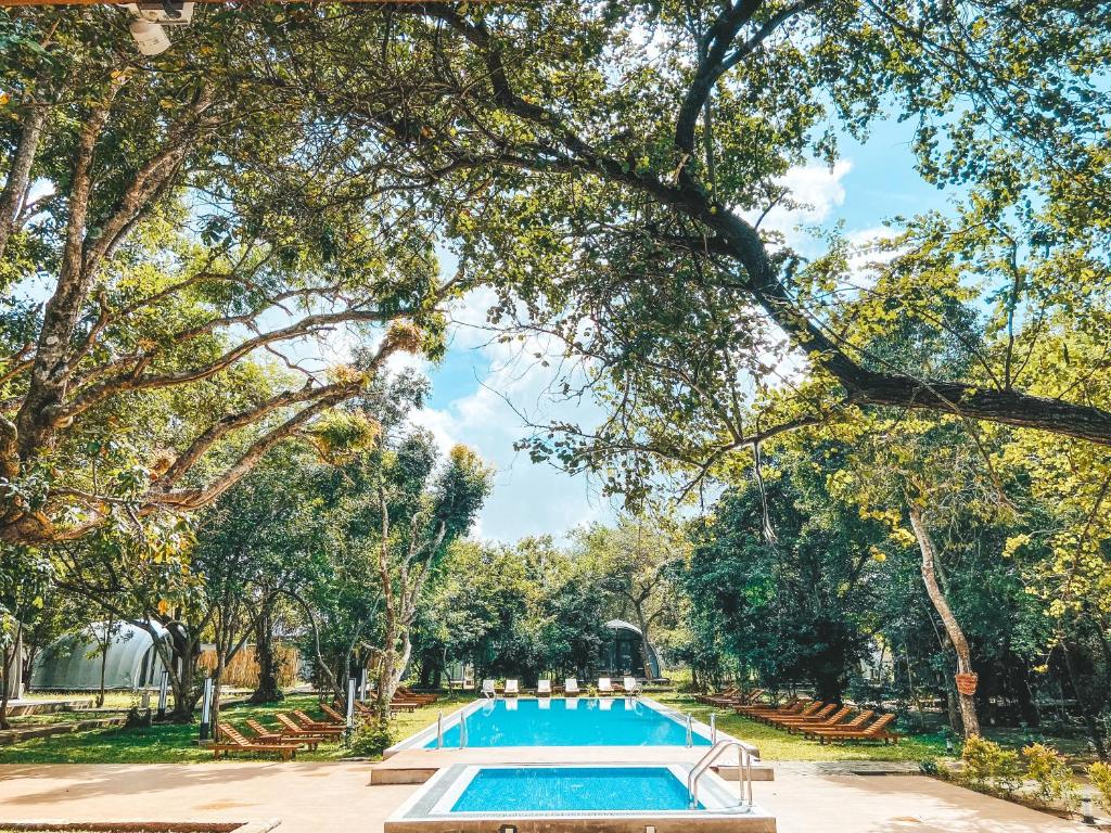 锡吉里亚NIVADOO RESORT SIGIRIYA的树木繁茂的公园内的游泳池