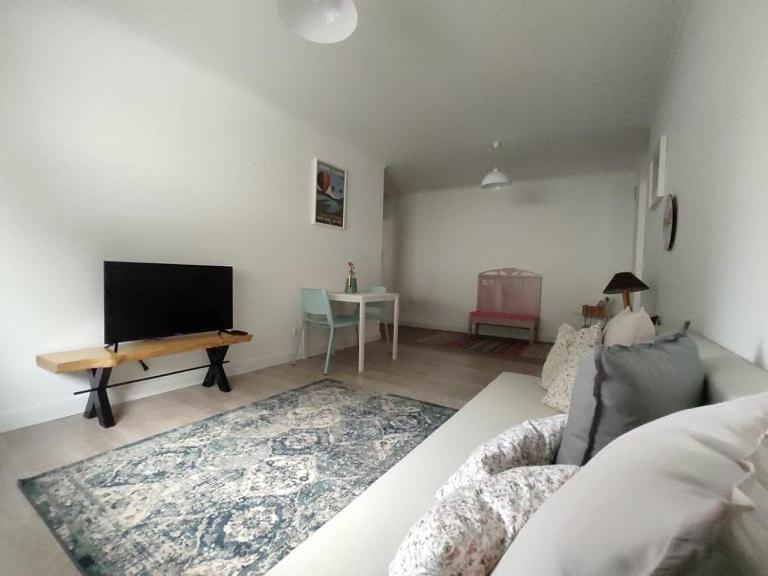 蓬塔德尔加达City Apartament的带沙发和平面电视的客厅