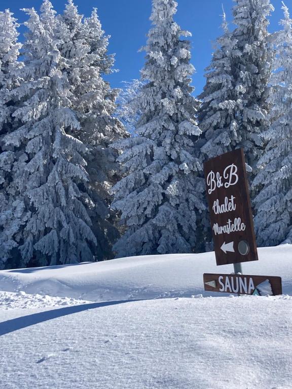 普雷托罗Chalet Mirastelle的树前雪中的标志