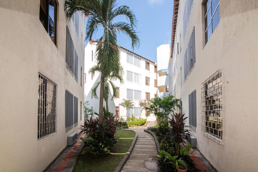 蒙特里亚Acogedor Apartamento en el Norte 3 Habitaciones F14B的两座建筑之间的小巷里棕榈树