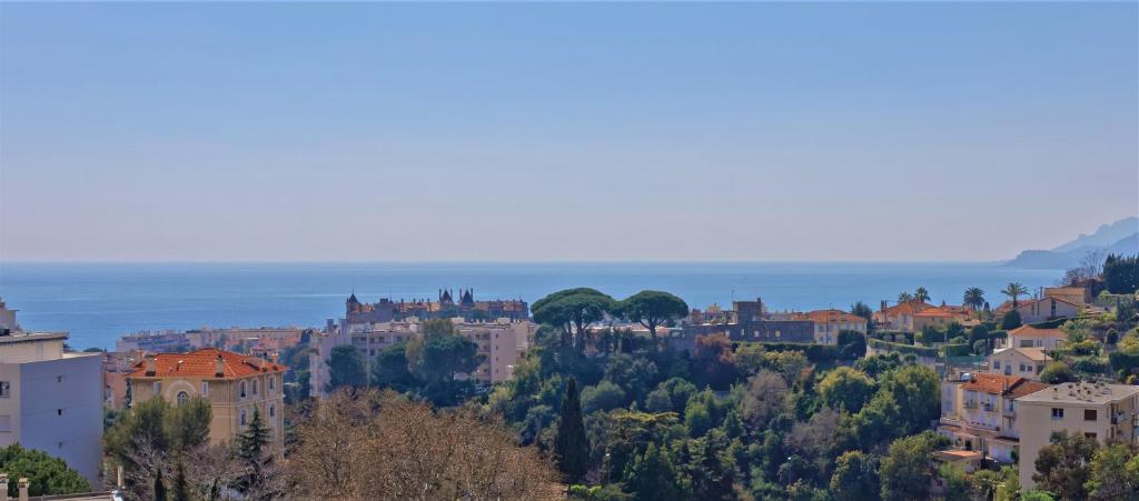 戛纳CANNES Vue Mer的城市的背景海景
