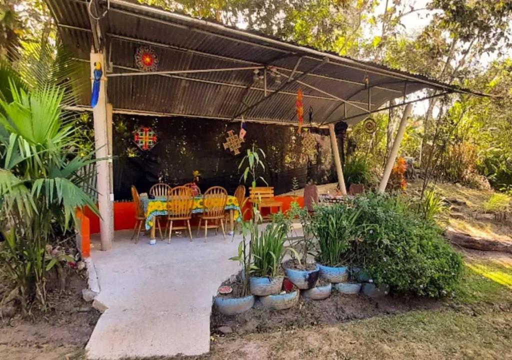 Pajonal ArribaHostal Familiar El Ángel Panamá B&B的庭院配有桌椅和植物