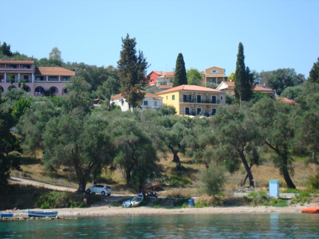 Ágios NikólaosPension Elena的水边山丘上的一群房子
